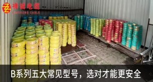 禪誠B系列電線：五大常見型號及安全選擇指南