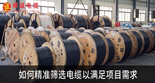 如何精準篩選電纜以滿足項目需求