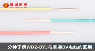 一分鐘了解WDZ-BYJ與普通BV電線的區別