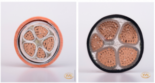 【禪誠電纜】電線電纜3+2芯和4+1芯有什么區別呢?