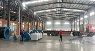 佛山市佳越羅浮宮物業有限公司電線電纜采購項目