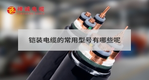 鎧裝電纜的常用型號(hào)有哪些呢