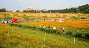 專業電纜生產廠家禪誠電纜為佛山七彩花田供貨