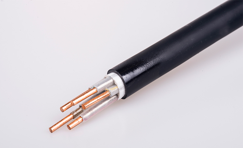 未標題-1 未標題-1