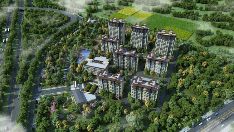 微信圖片_20241113172238