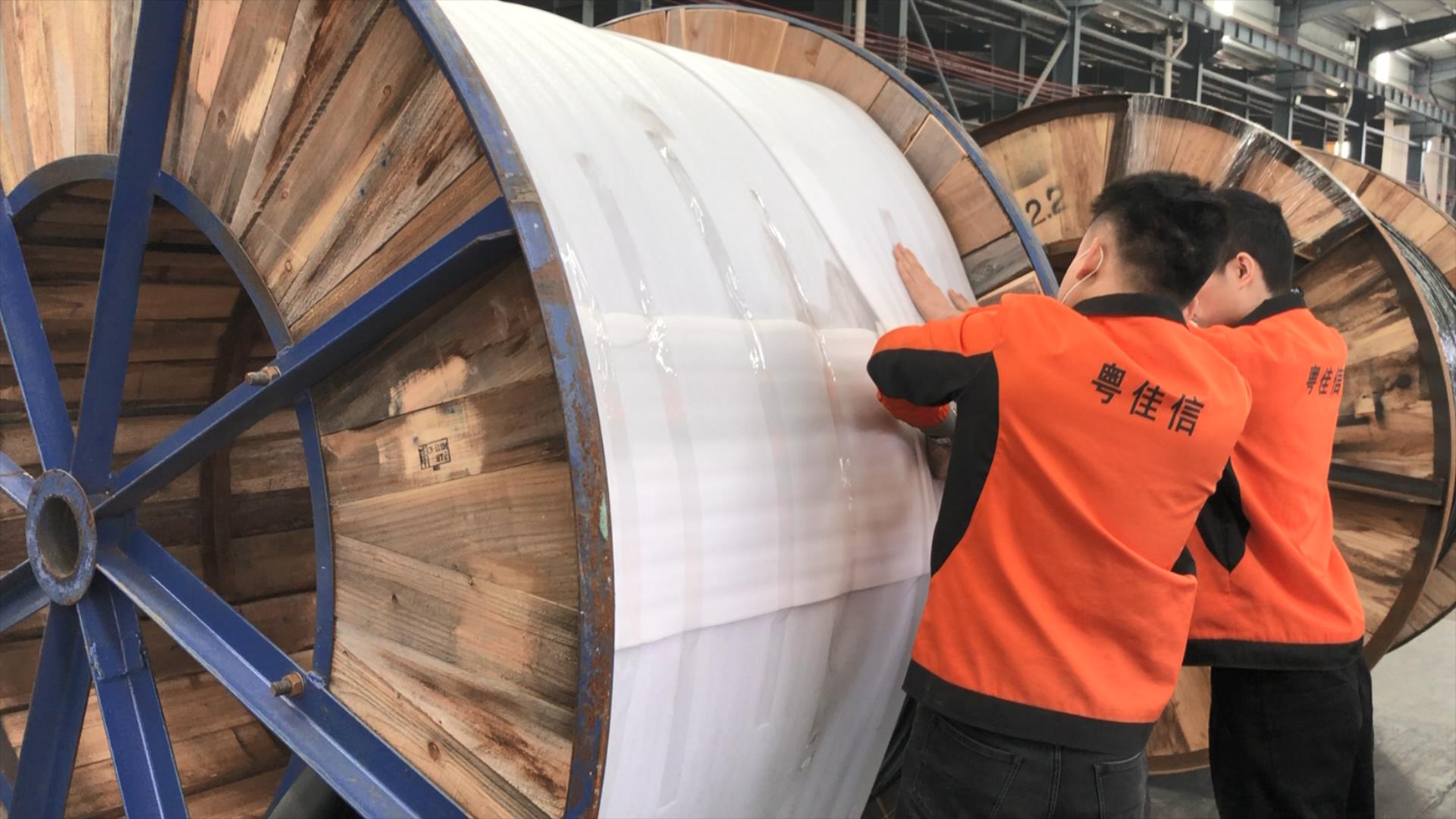 微信圖片_20241223164016