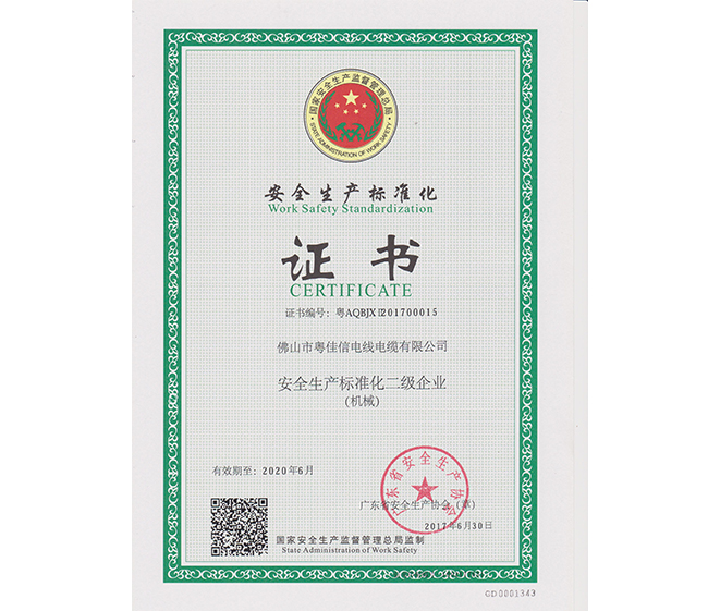安全生產標準化二級企業證書