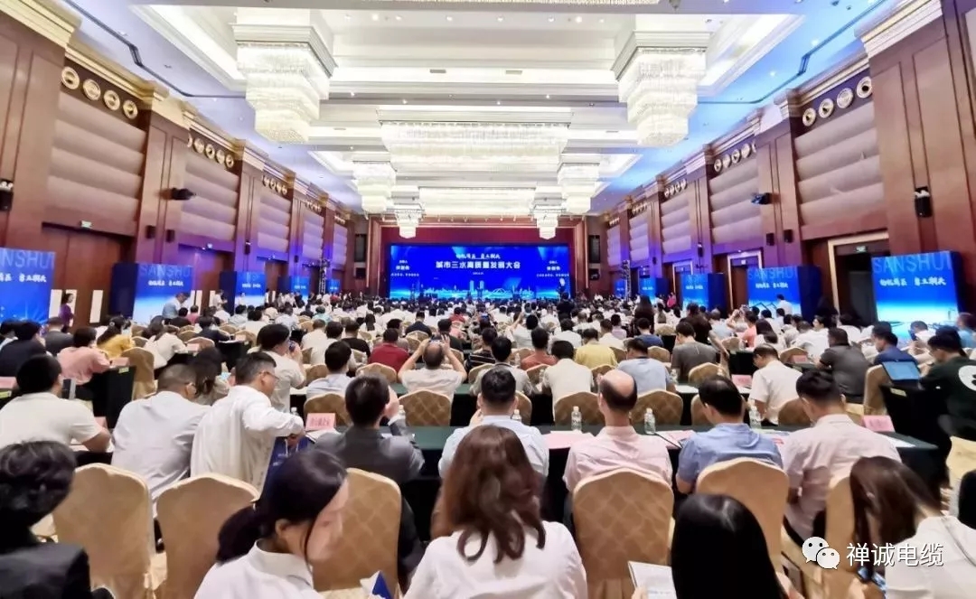 禪誠電纜媒體報道